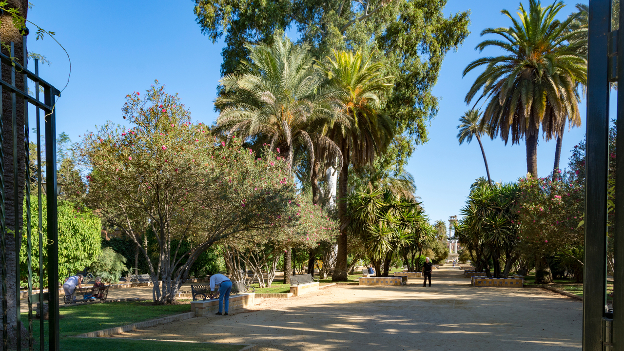 20171003 110536 , Sevilla, Andalusia, Spain